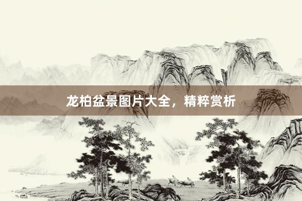 龙柏盆景图片大全，精粹赏析