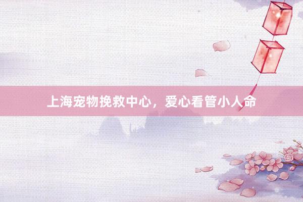 上海宠物挽救中心,爱心看管小人命