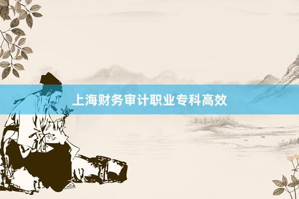 上海财务审计职业专科高效