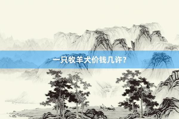 一只牧羊犬价钱几许？
