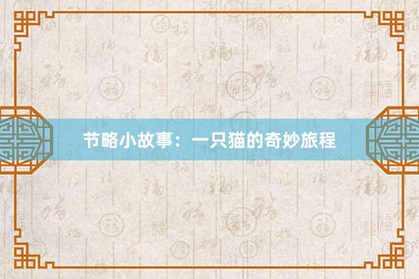 节略小故事：一只猫的奇妙旅程